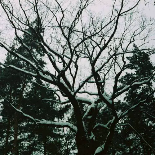 Owlcraft : Hide from Sun Owlcraft : Hide from Sun